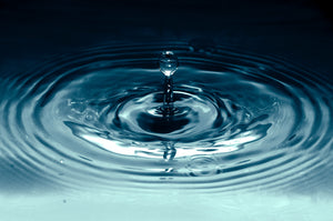 Water is Life ... A Deep Dive into the Many Ways Water Serves Your Highest Good